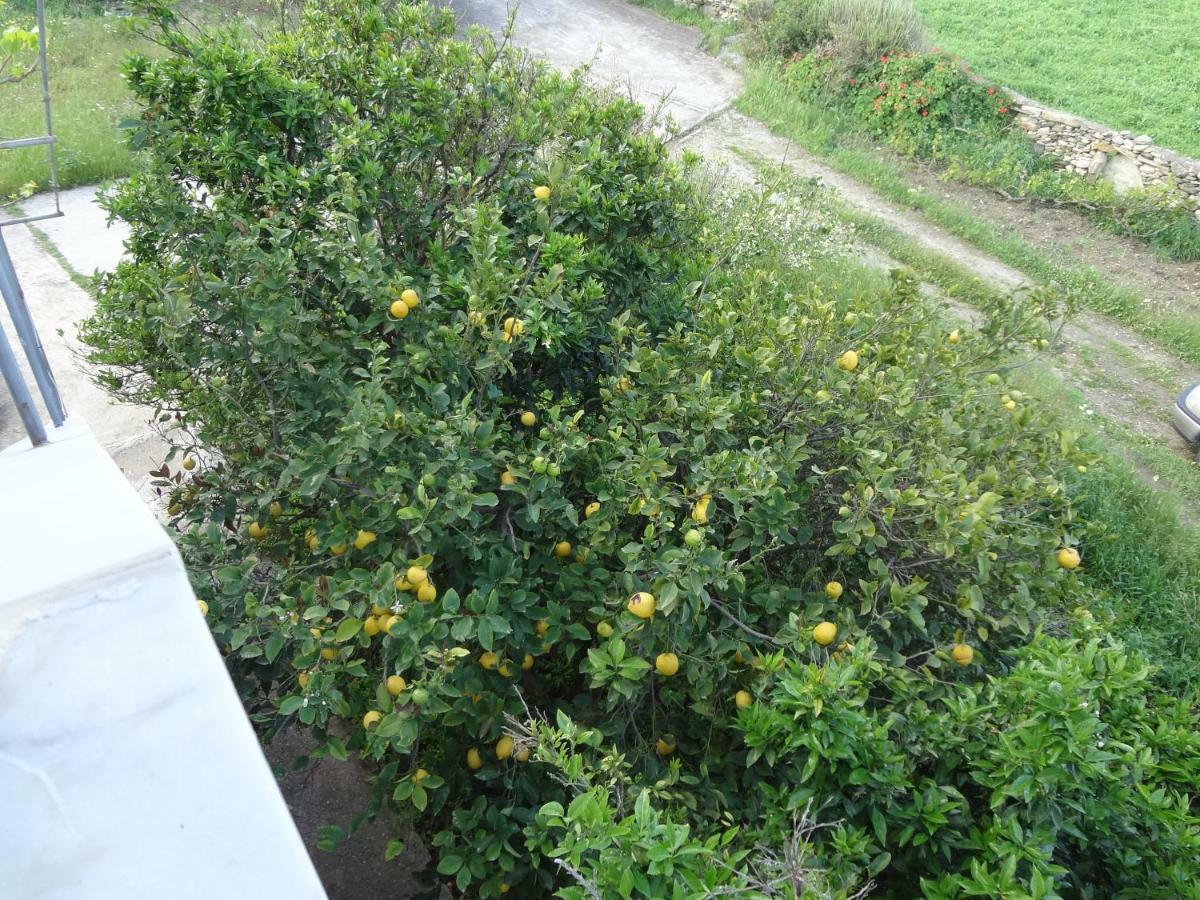 House In The Grass Land. Villa Ormos  ภายนอก รูปภาพ
